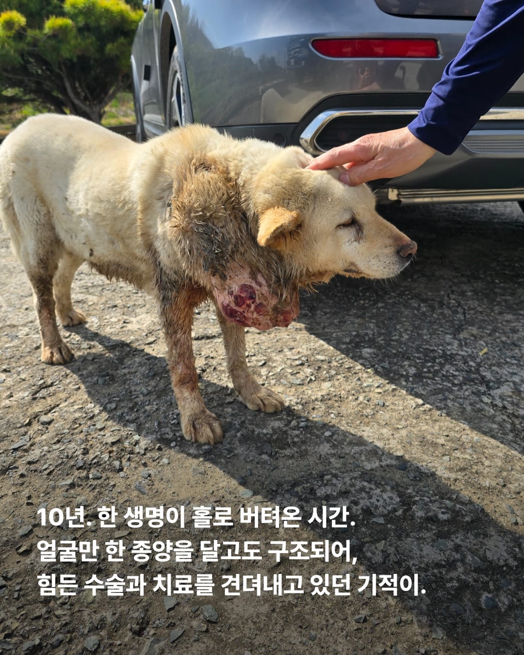 상세 사진 2