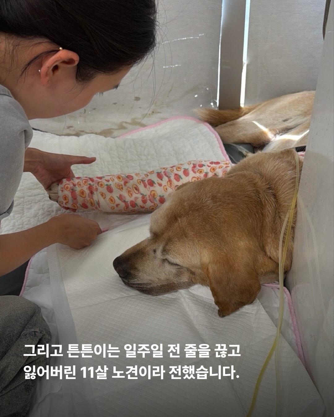 상세 사진 4