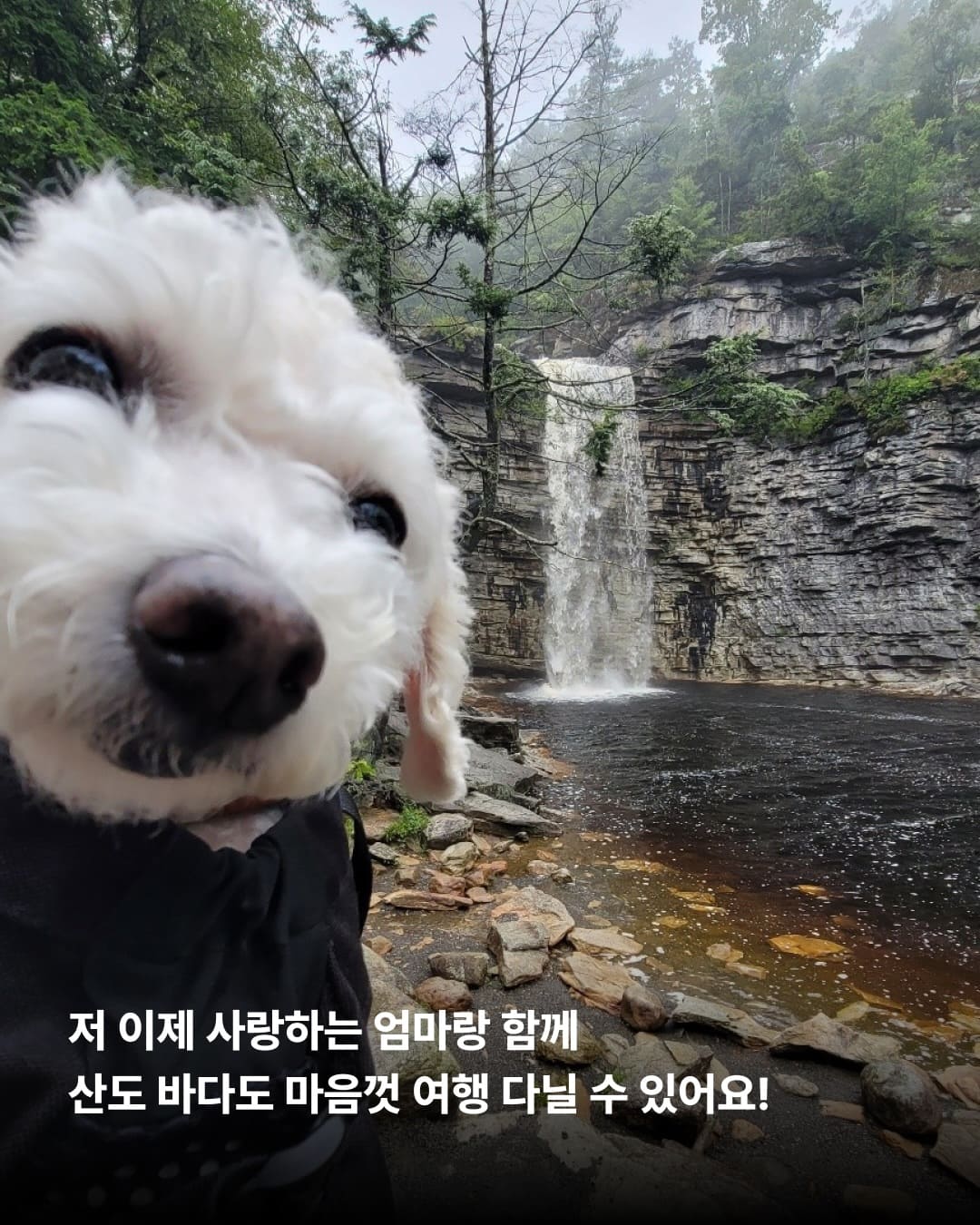상세 사진 9