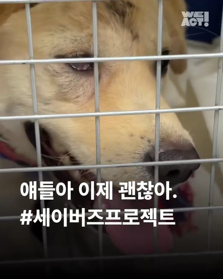 상세 사진 1