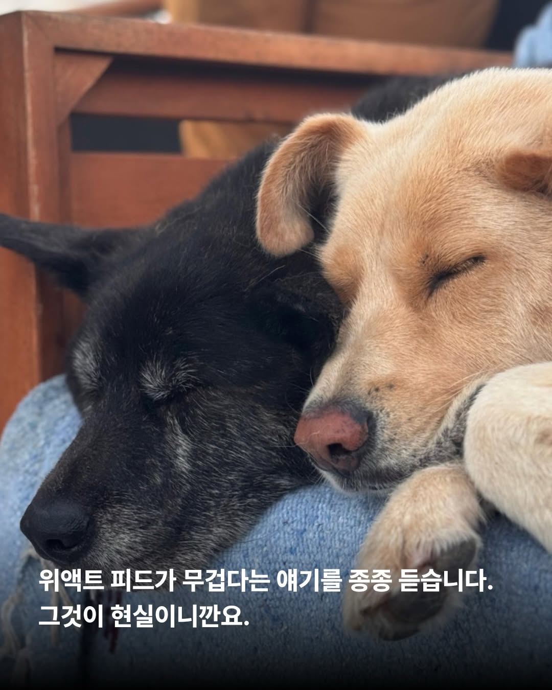 상세 사진 7