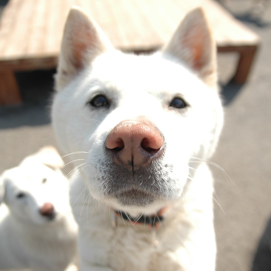 상세 사진 4