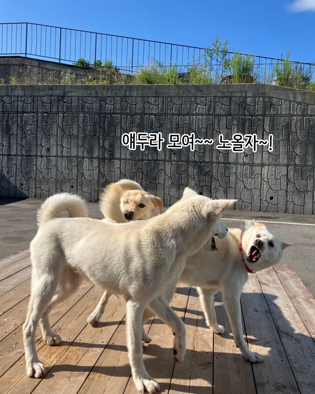 상세 사진 15