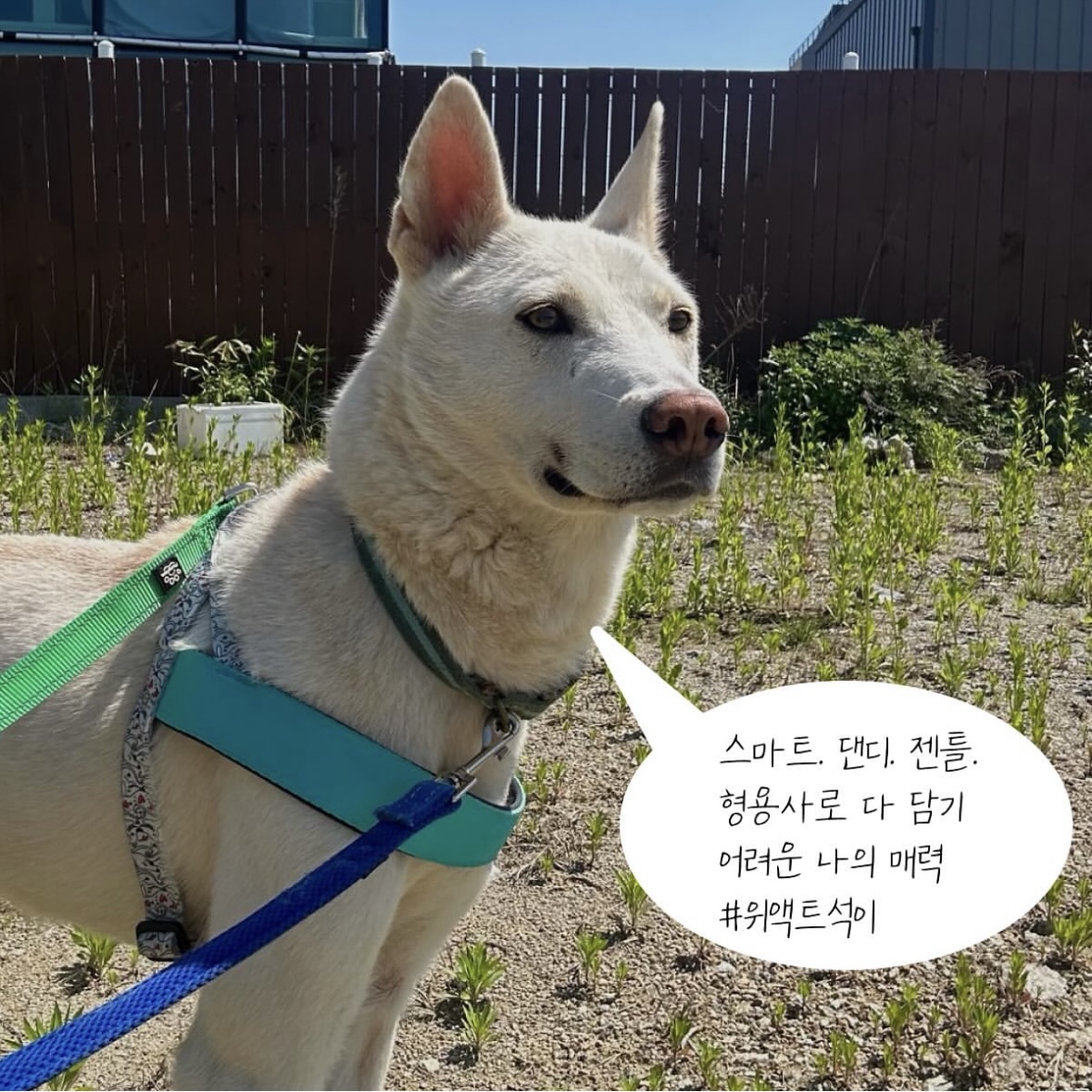 상세 사진 4