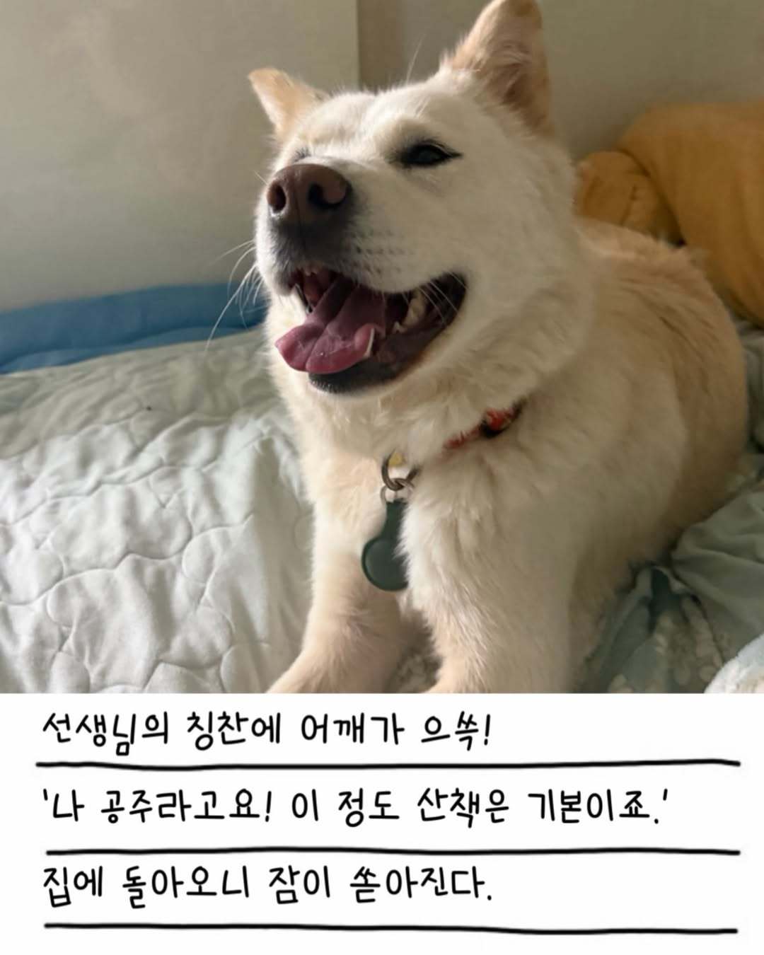 상세 사진 17