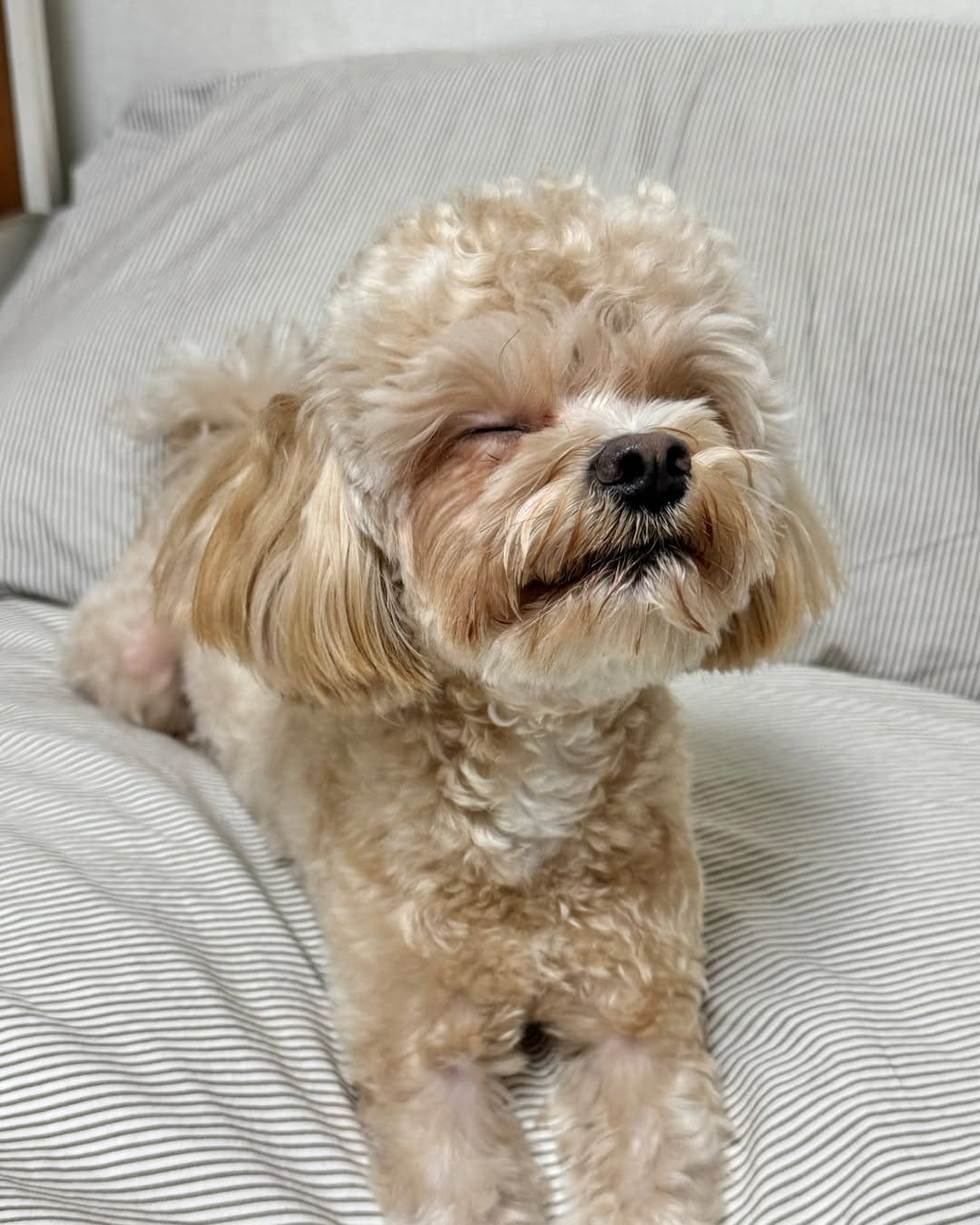 상세 사진 6