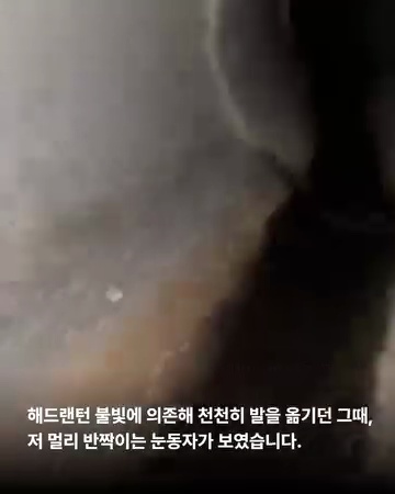상세 사진 4