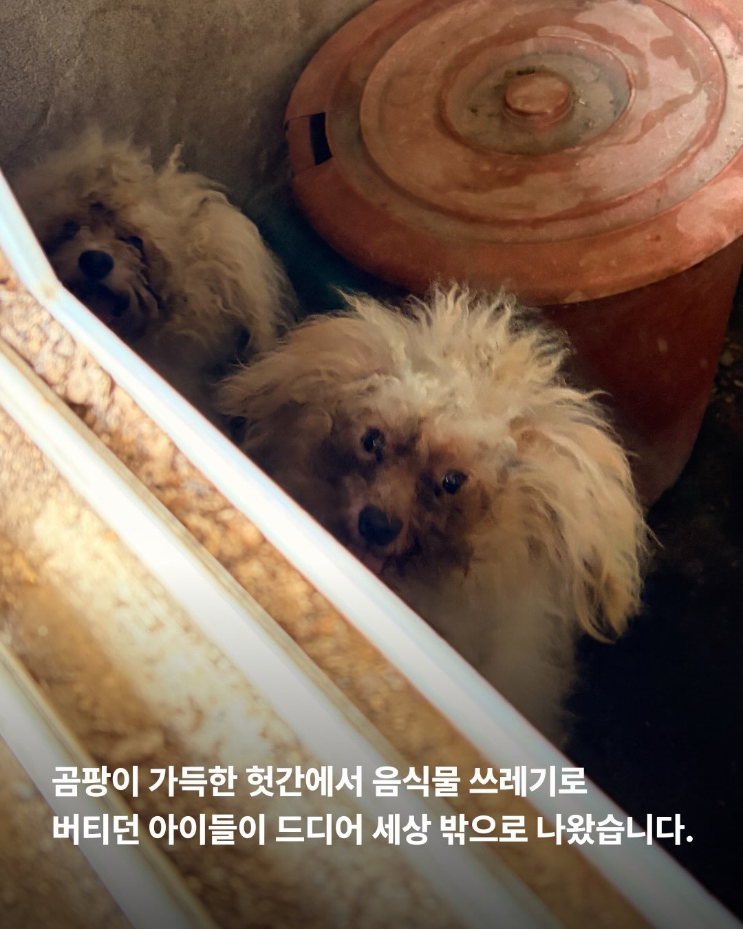 상세 사진 2