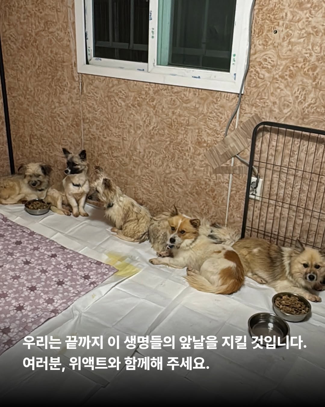 상세 사진 9