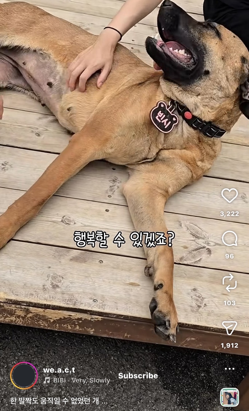 상세 사진 14