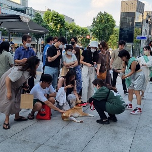 상세 사진 5