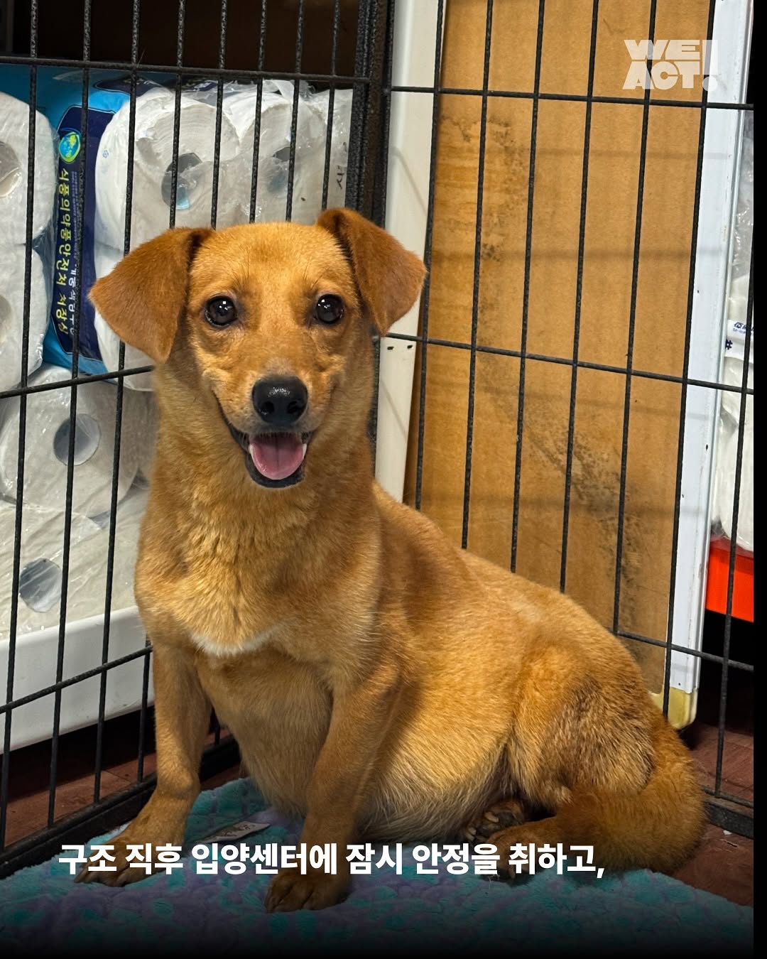 상세 사진 4