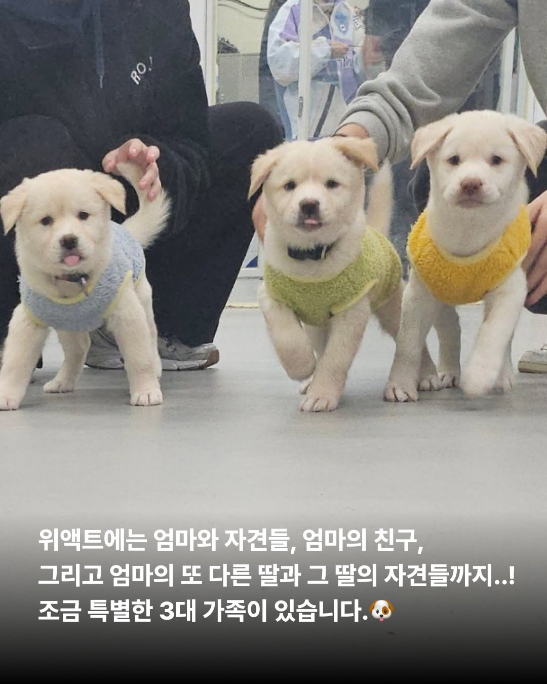 상세 사진 2