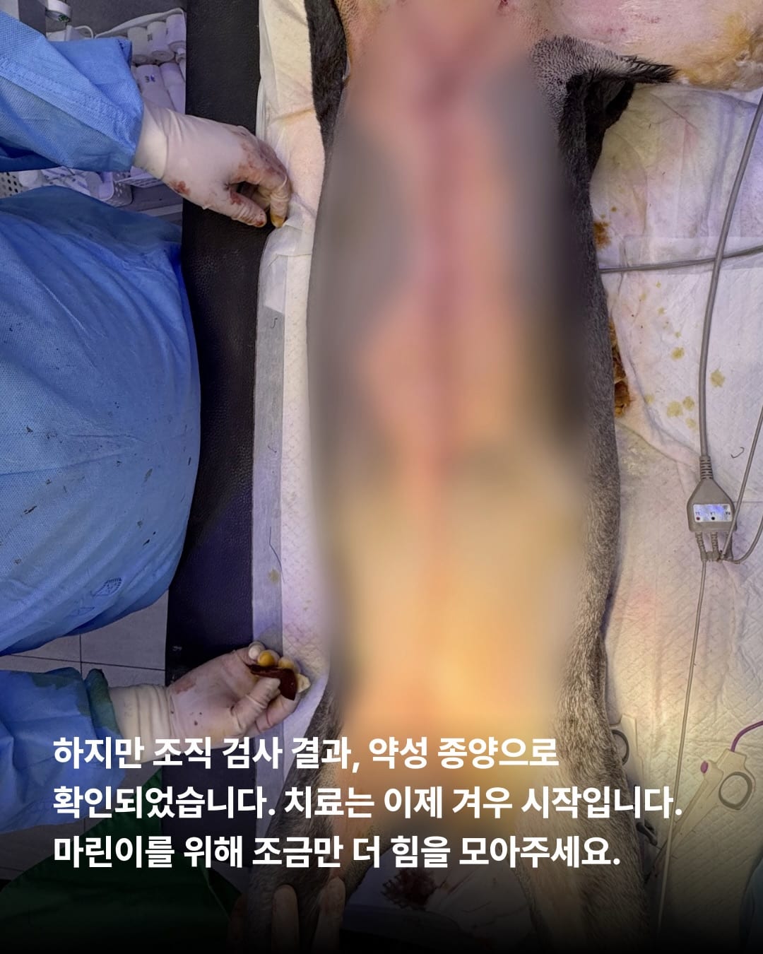 상세 사진 2