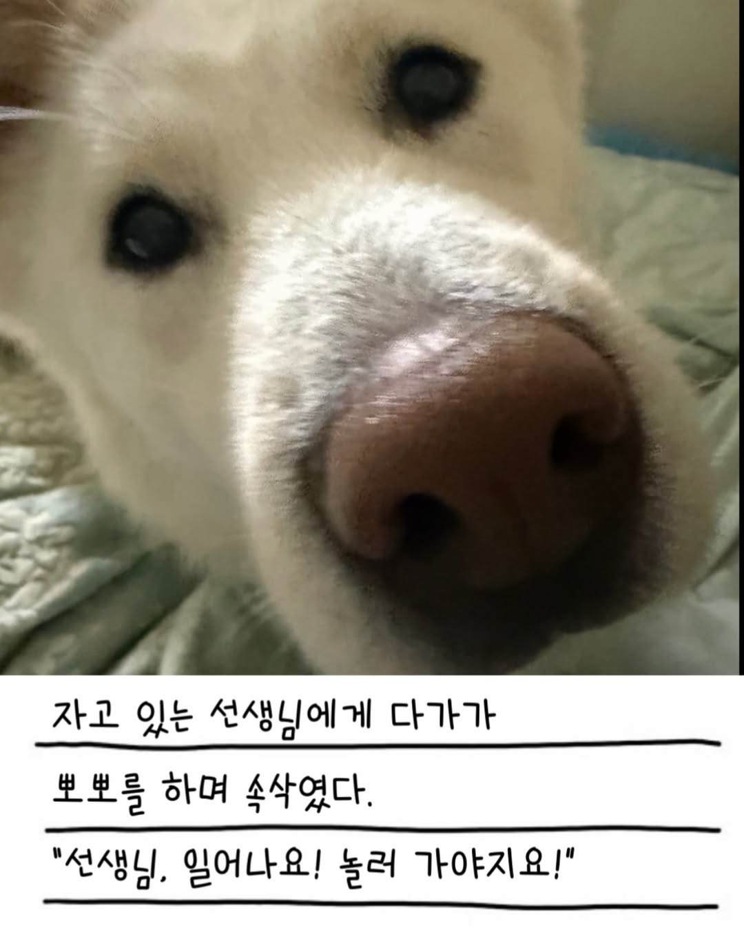 상세 사진 8