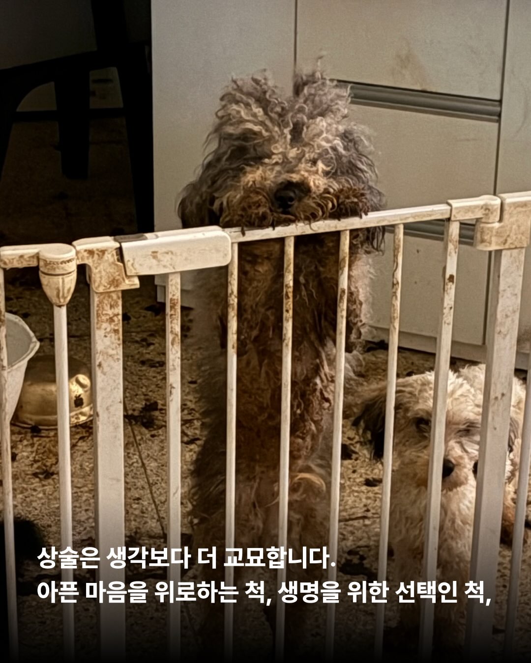 상세 사진 4