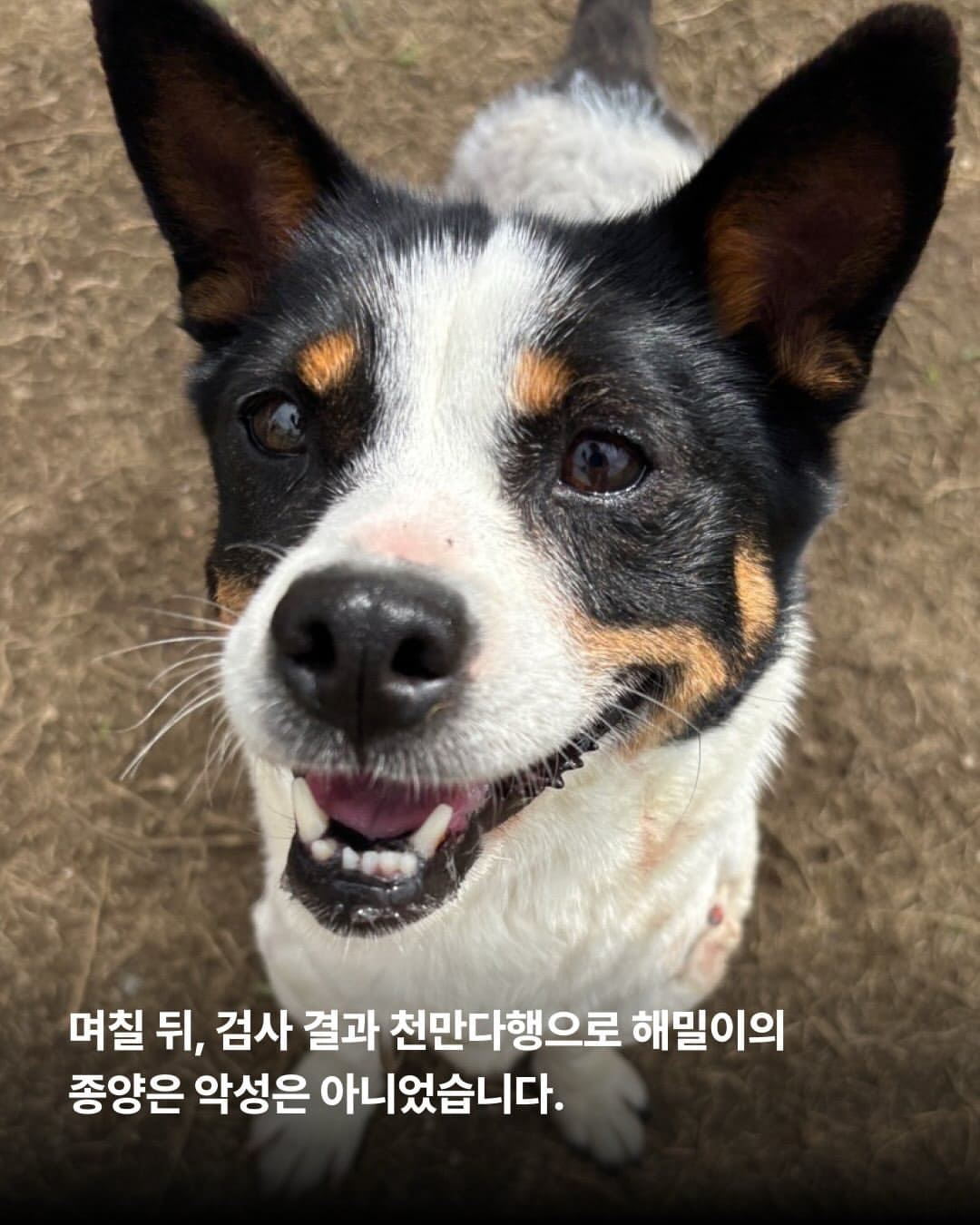 상세 사진 5