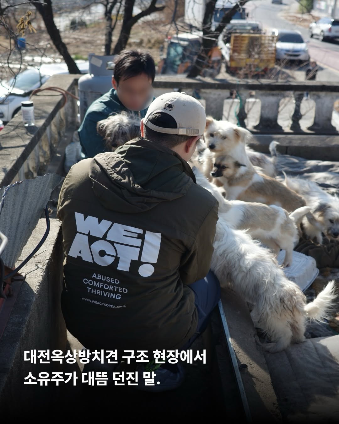 상세 사진 2
