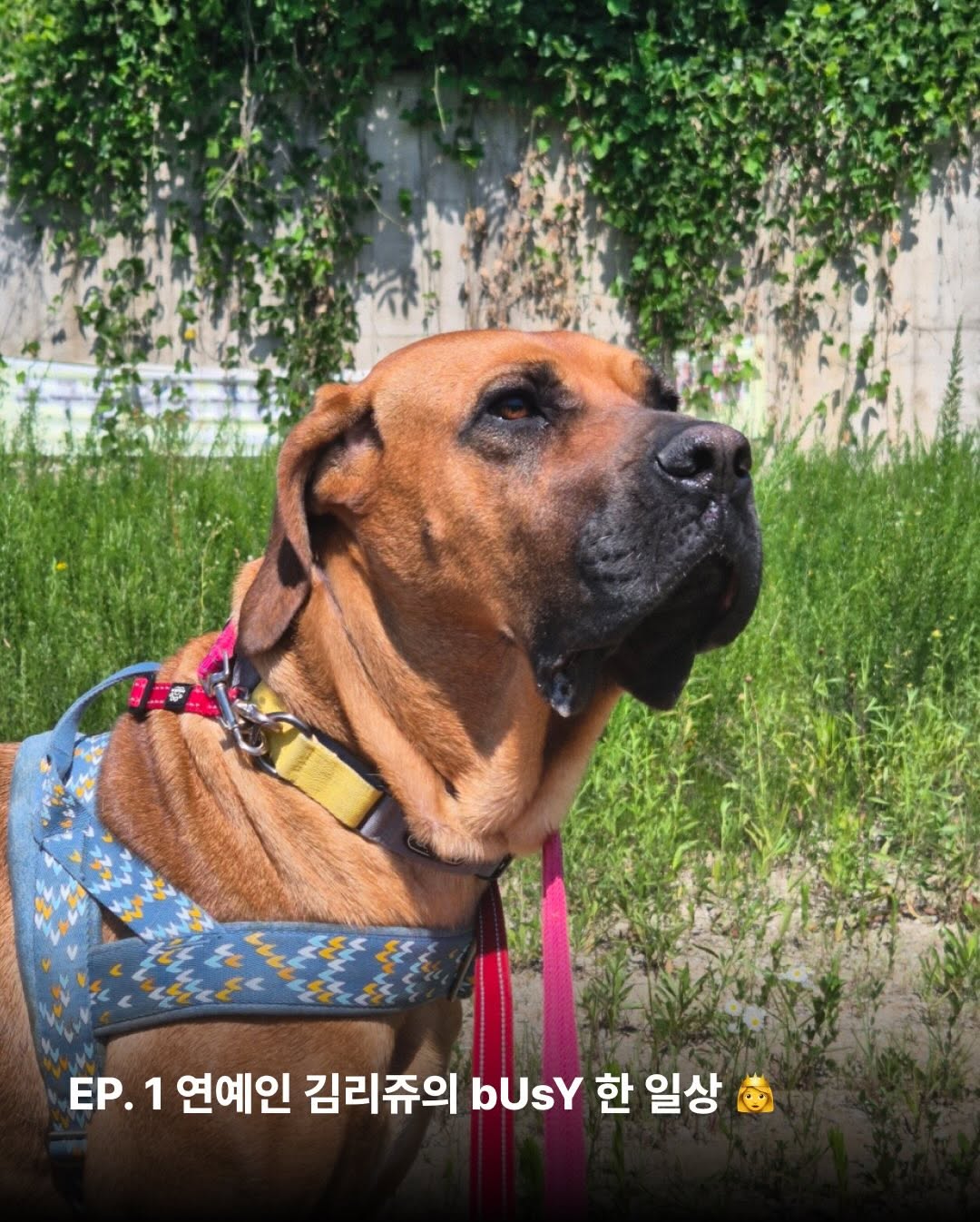 상세 사진 2