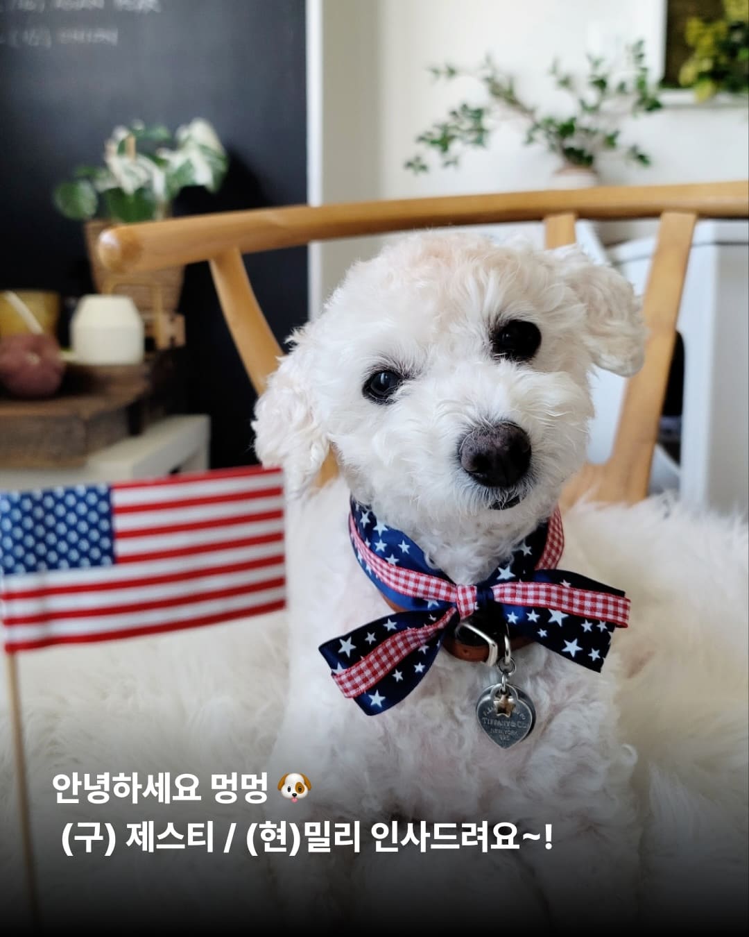 상세 사진 6