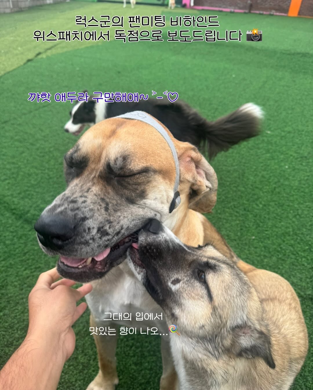 상세 사진 20