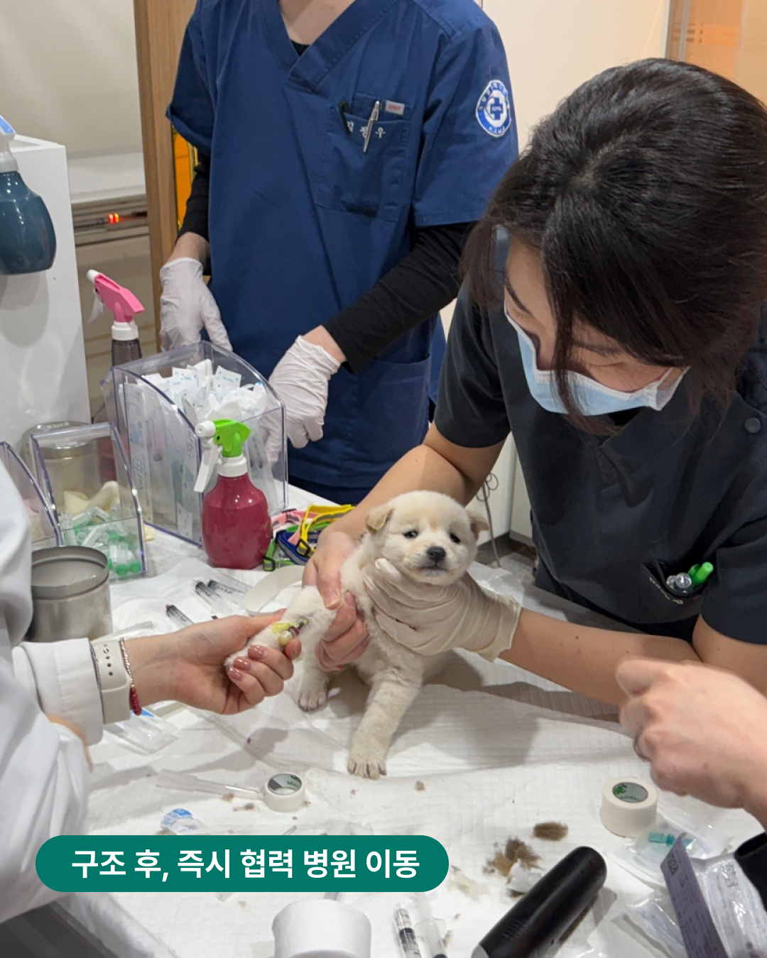 상세 사진 2