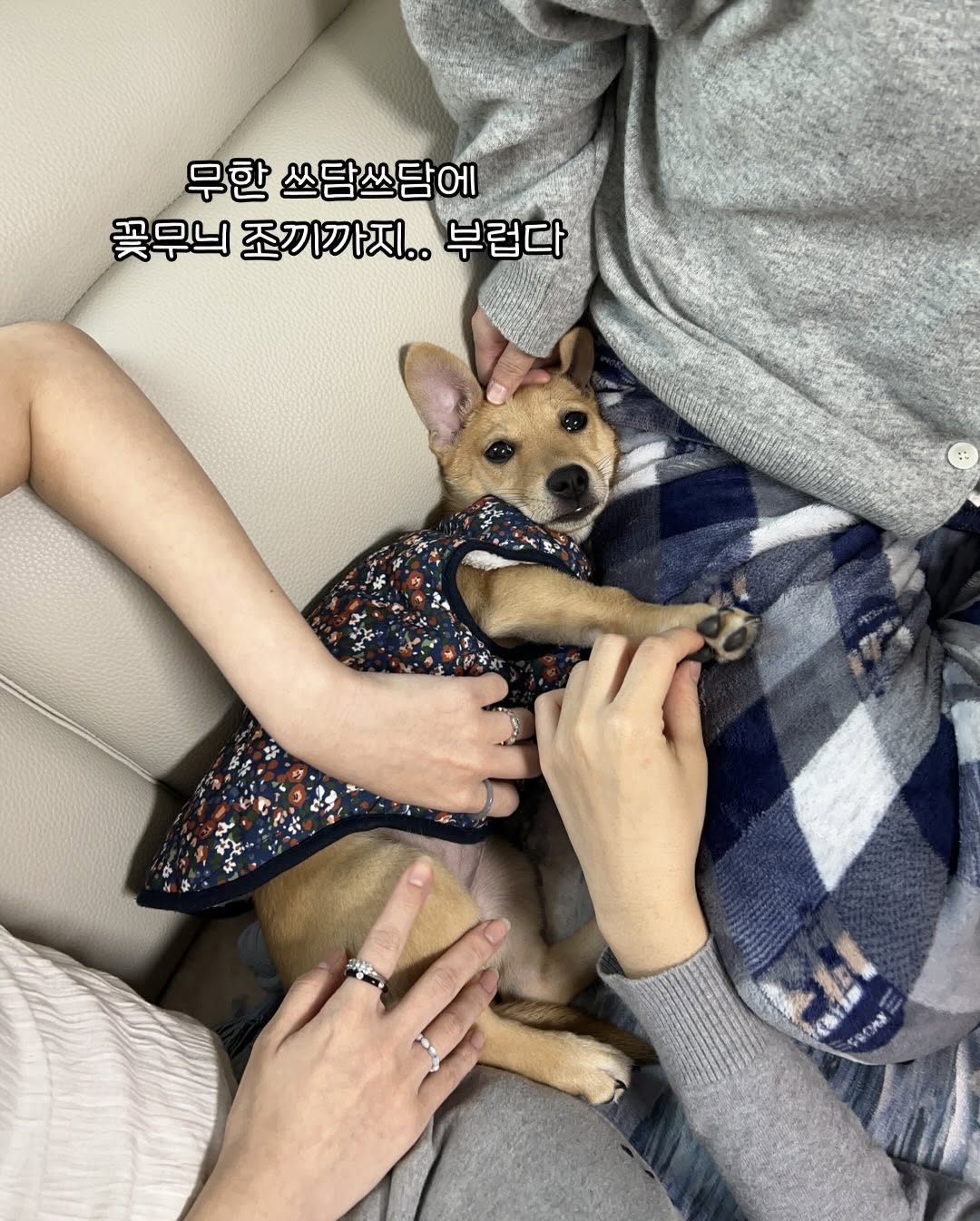 상세 사진 7