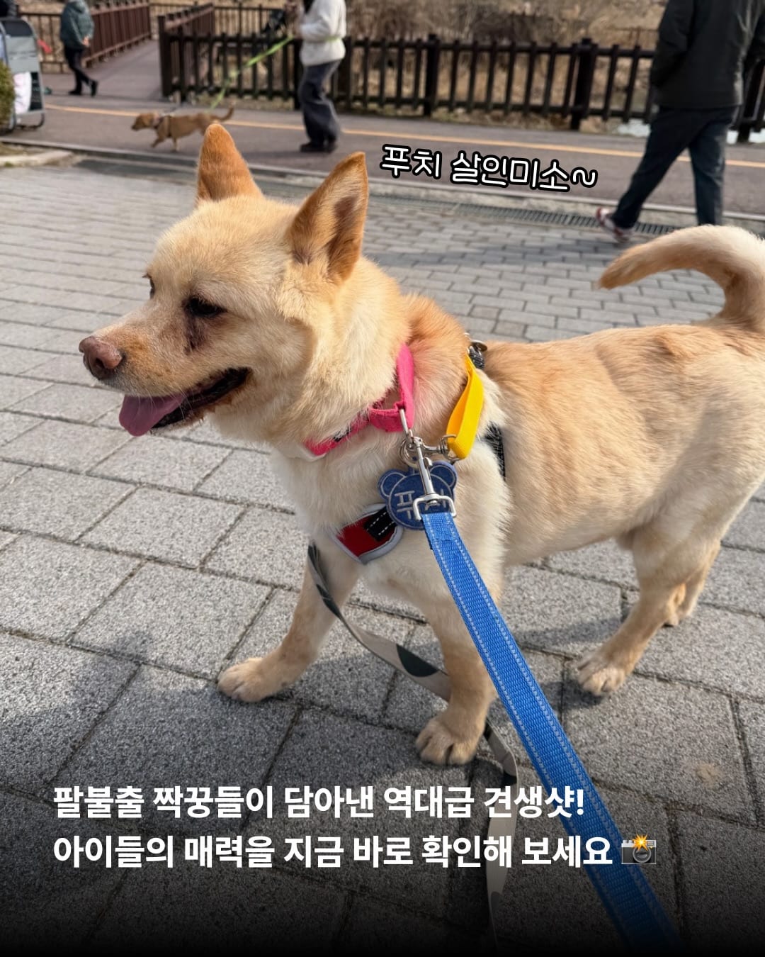 상세 사진 9