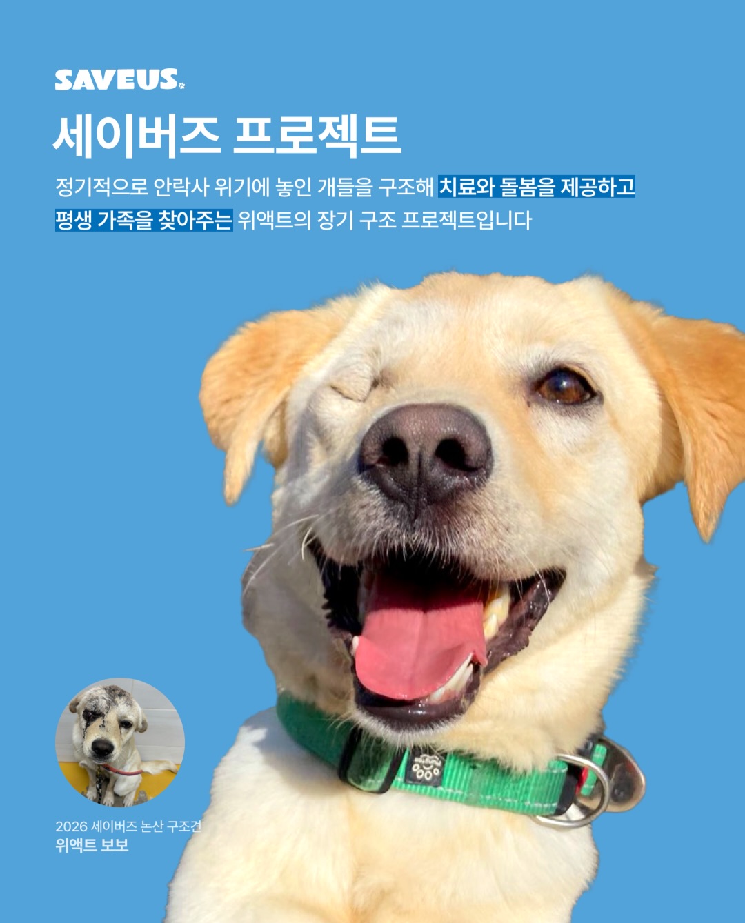 상세 사진 13