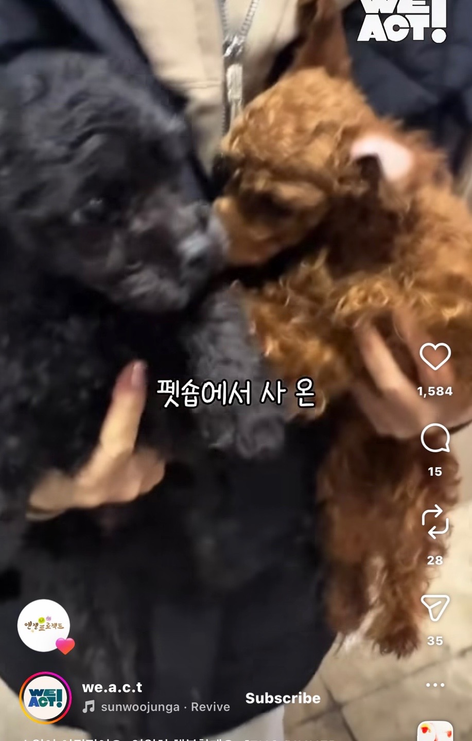 상세 사진 6