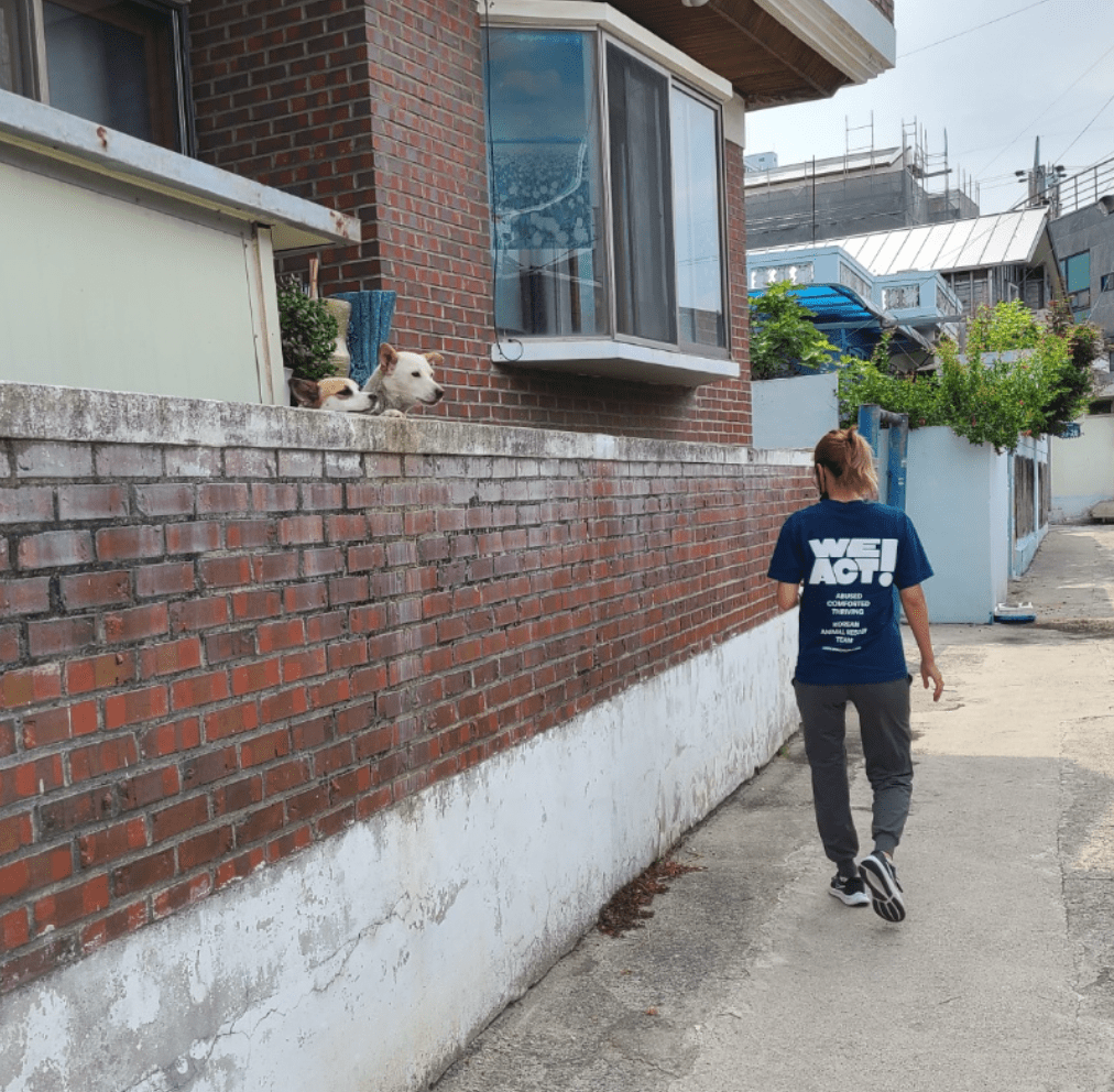 상세 사진 2