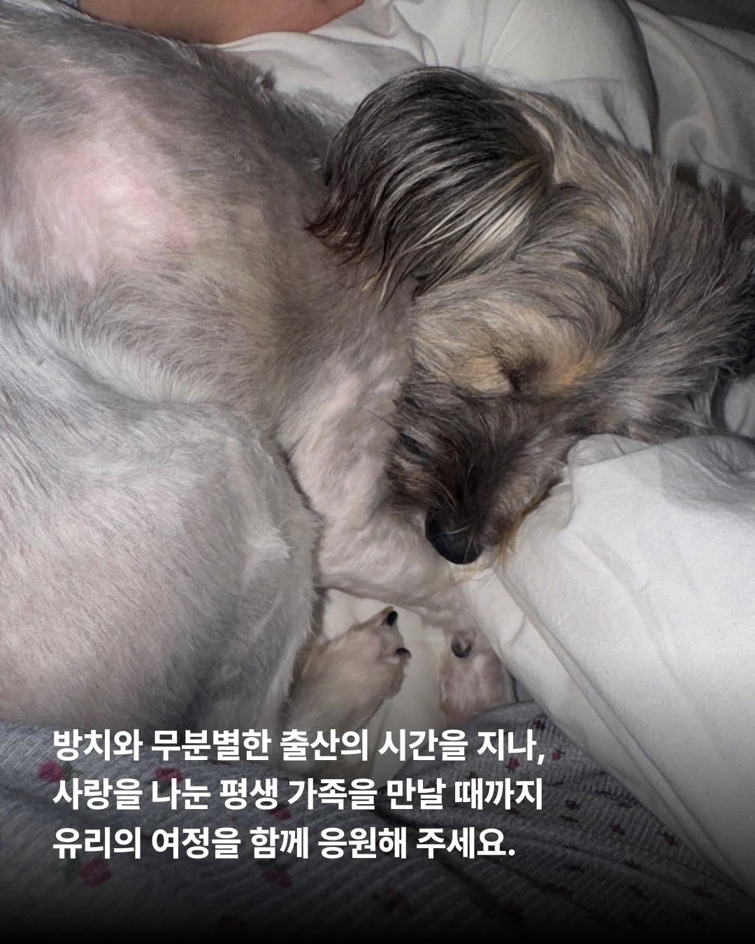 상세 사진 8
