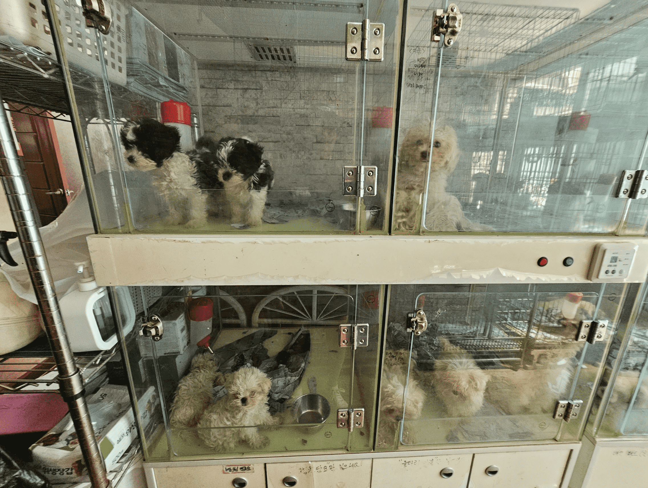 상세 사진 6