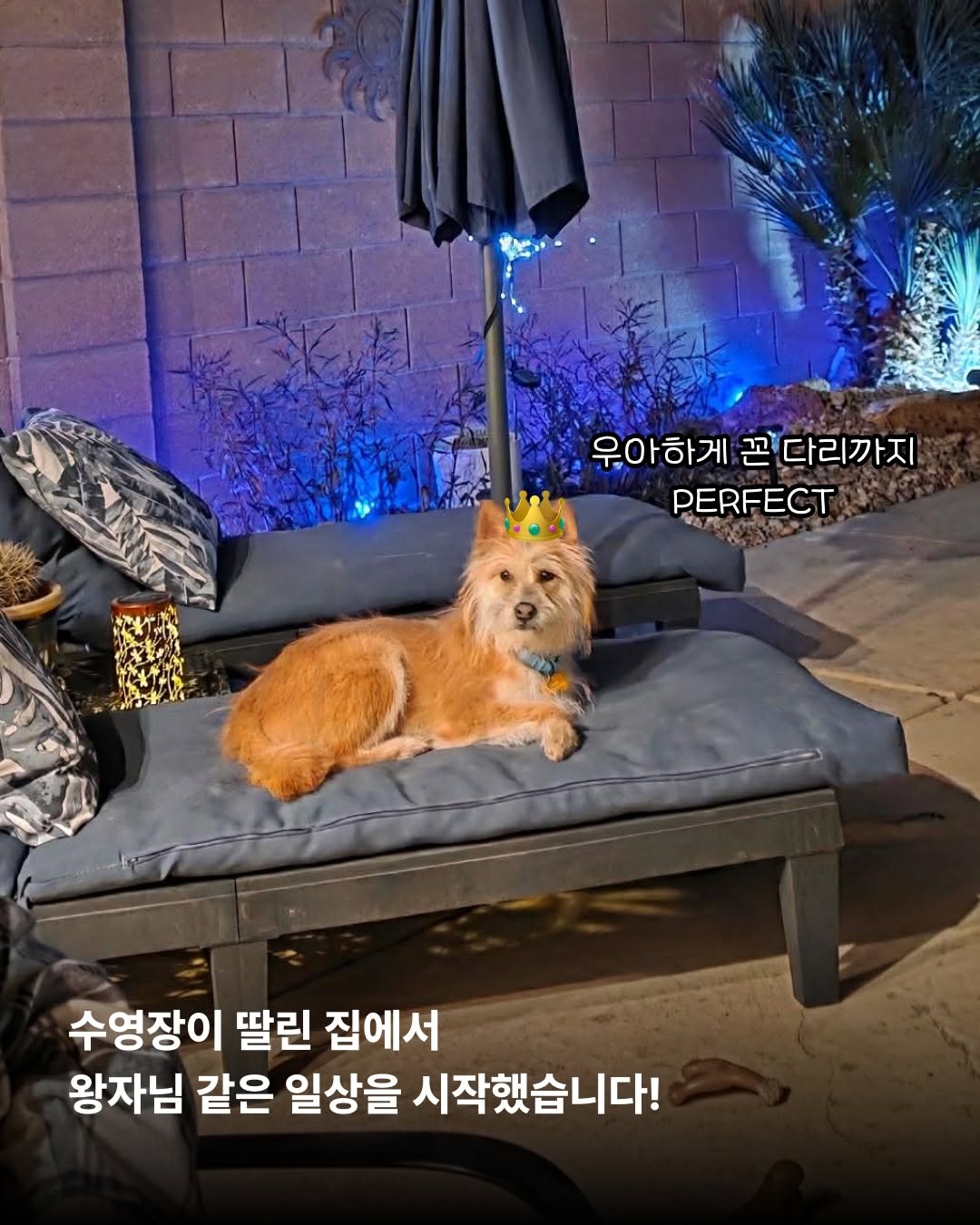 상세 사진 10