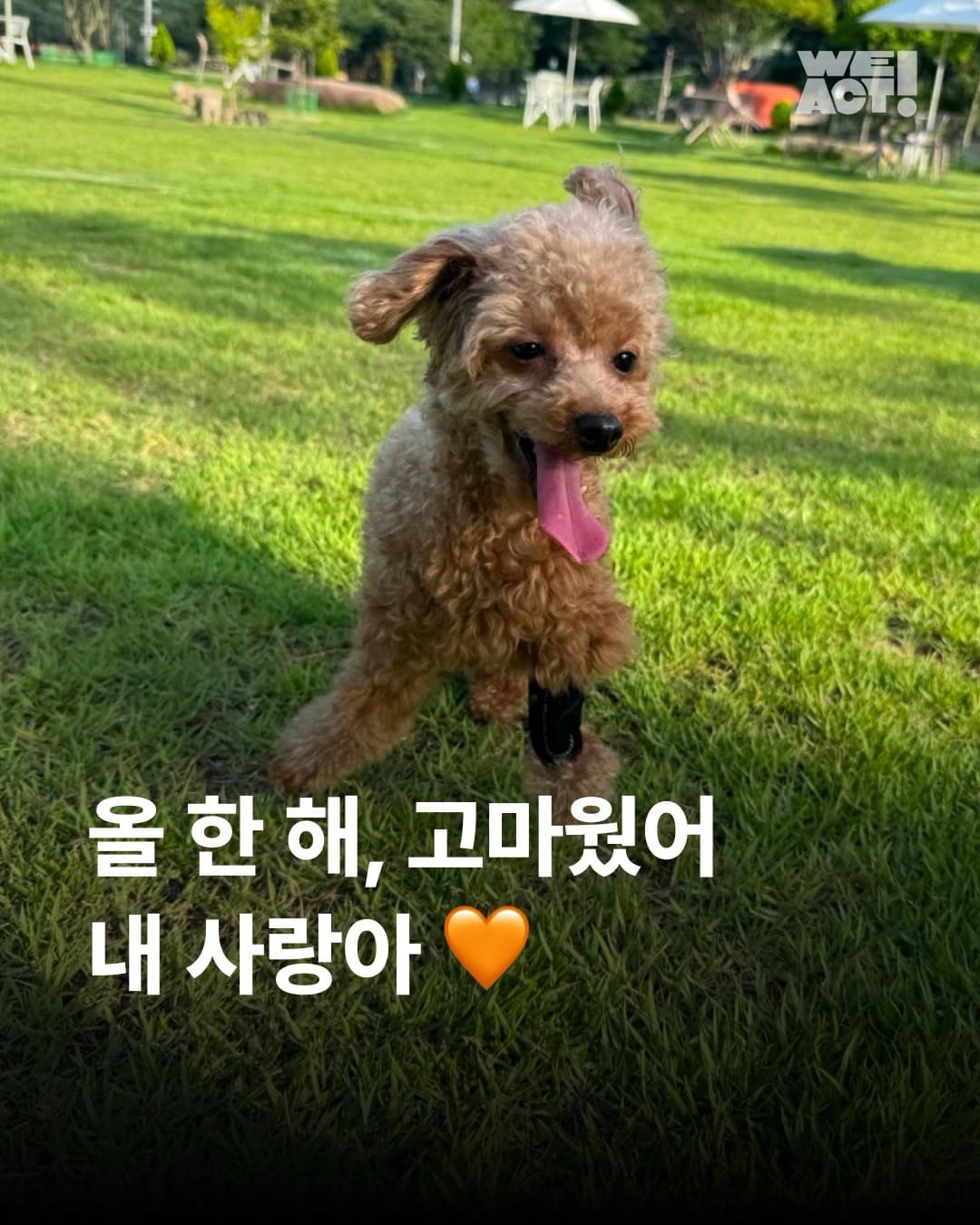 상세 사진 1