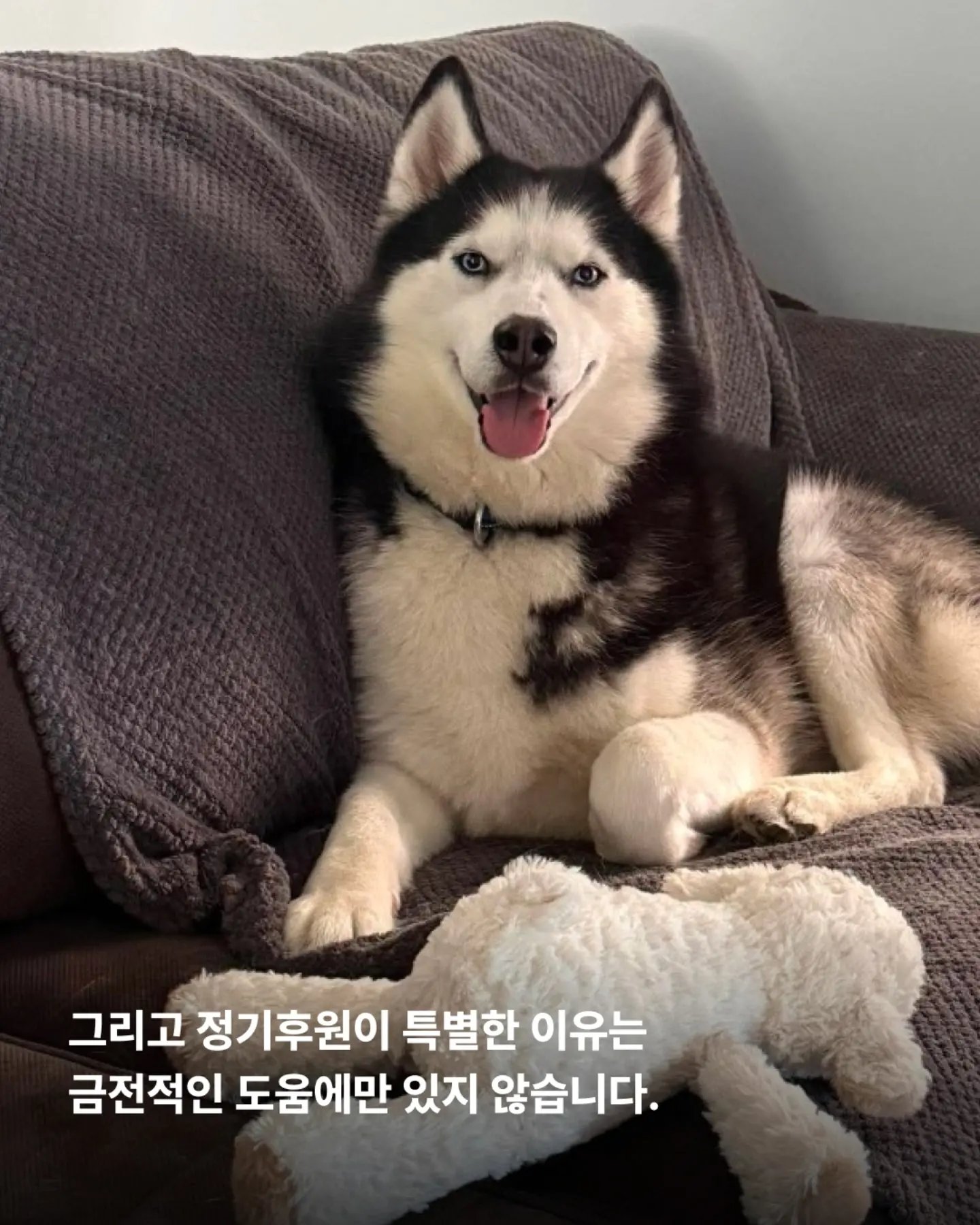 상세 사진 6