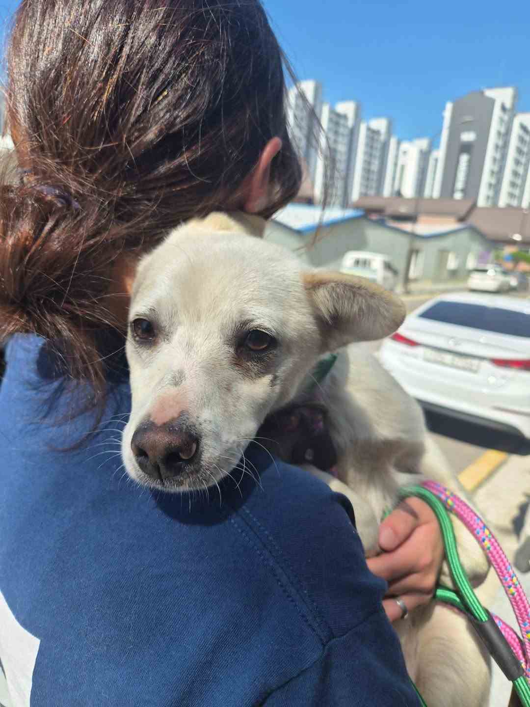 상세 사진 4