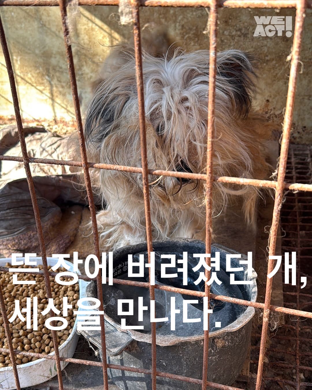 상세 사진 1