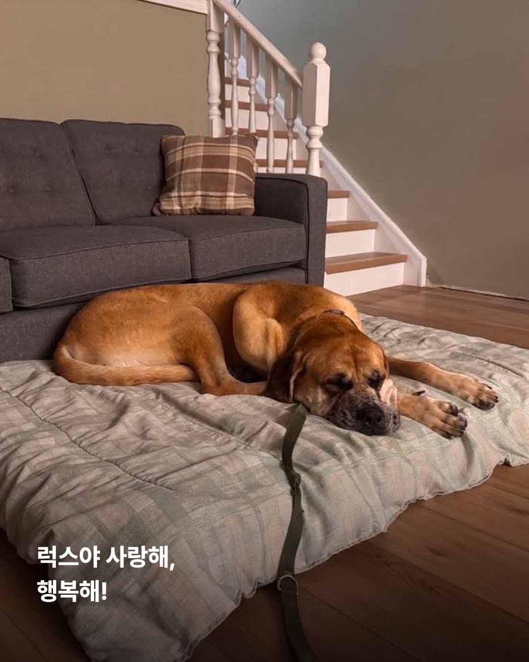 상세 사진 15