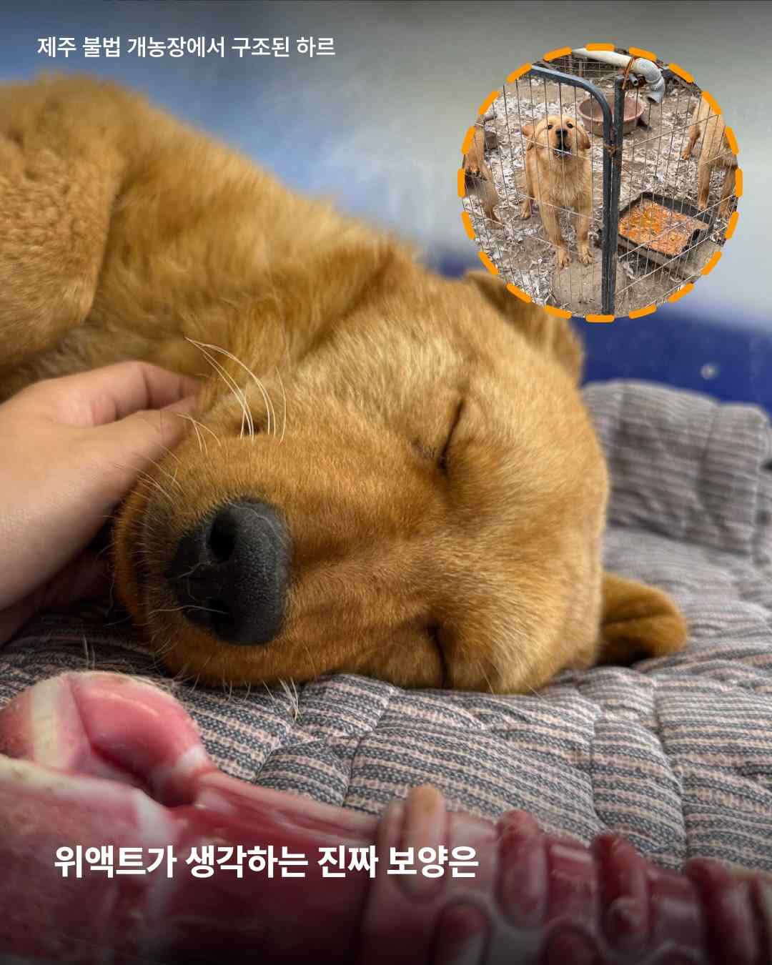 상세 사진 6