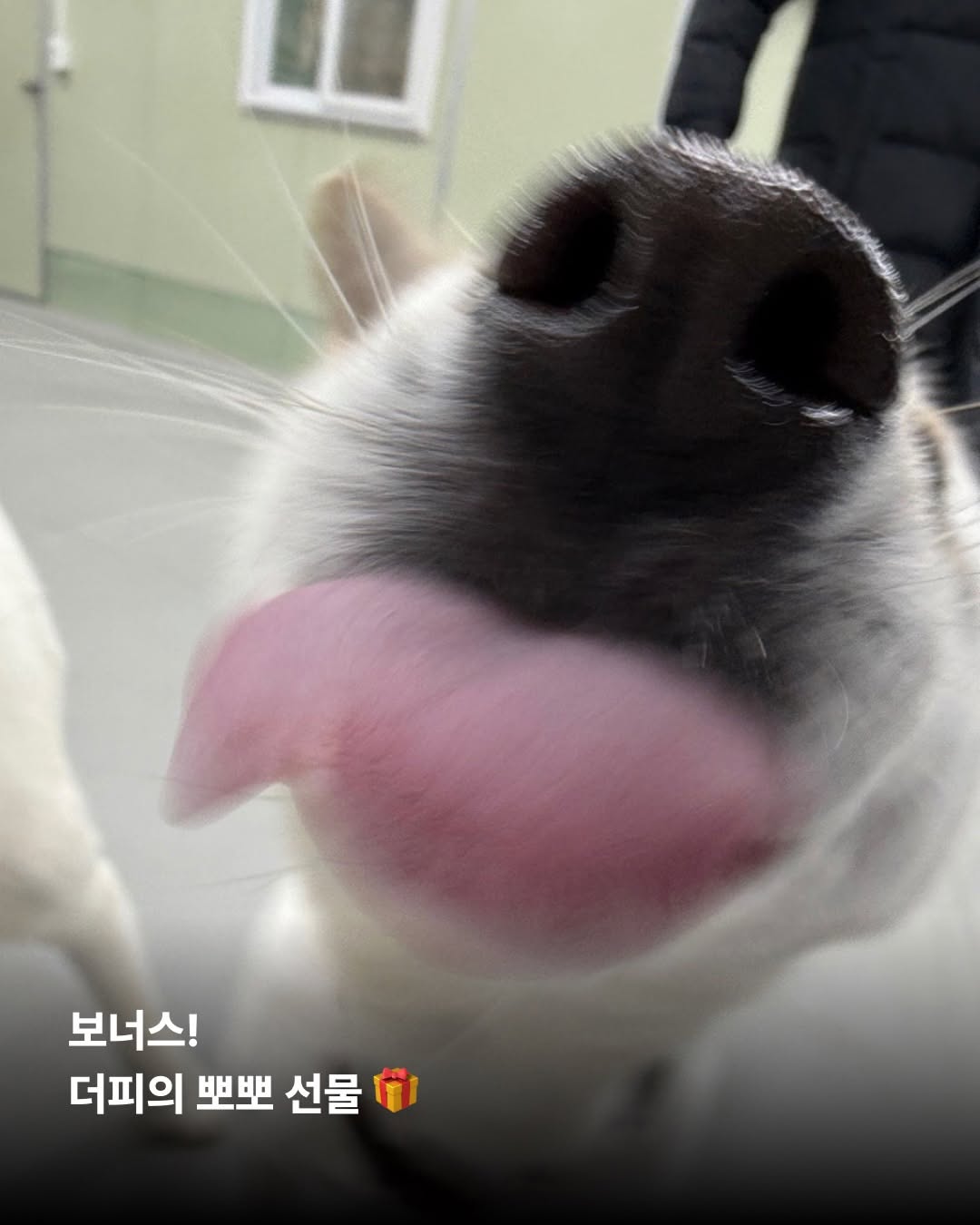 상세 사진 13