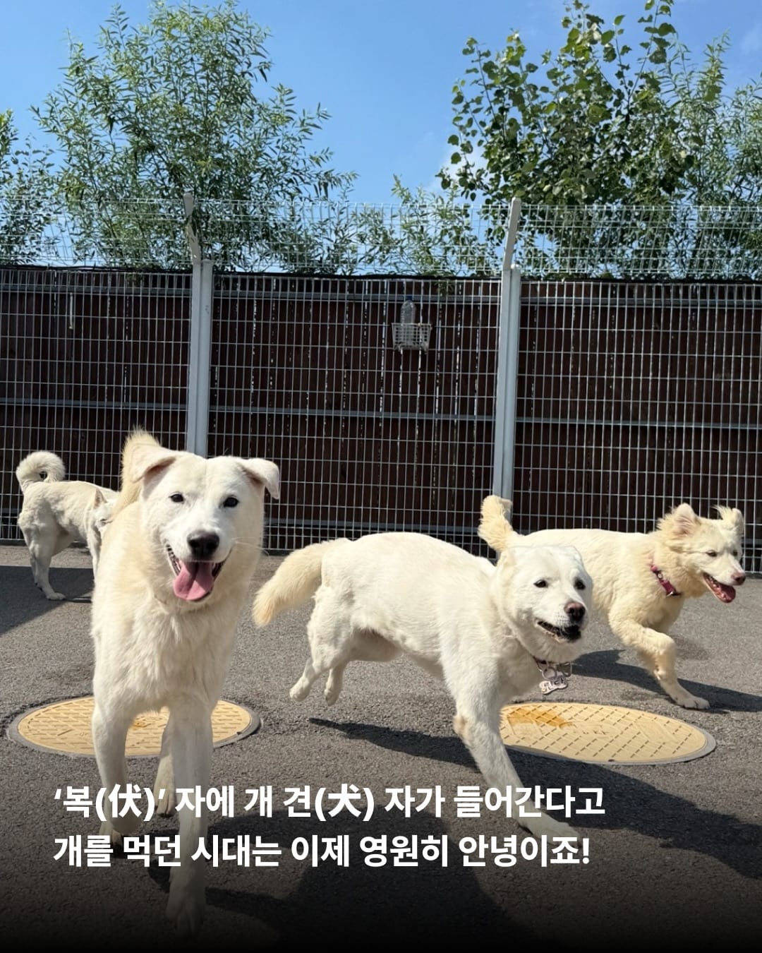 상세 사진 3