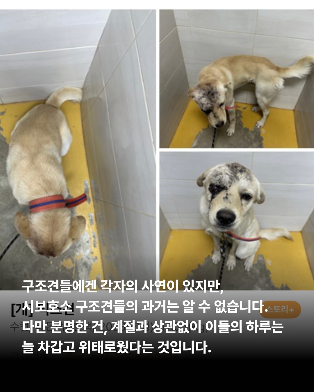 상세 사진 2