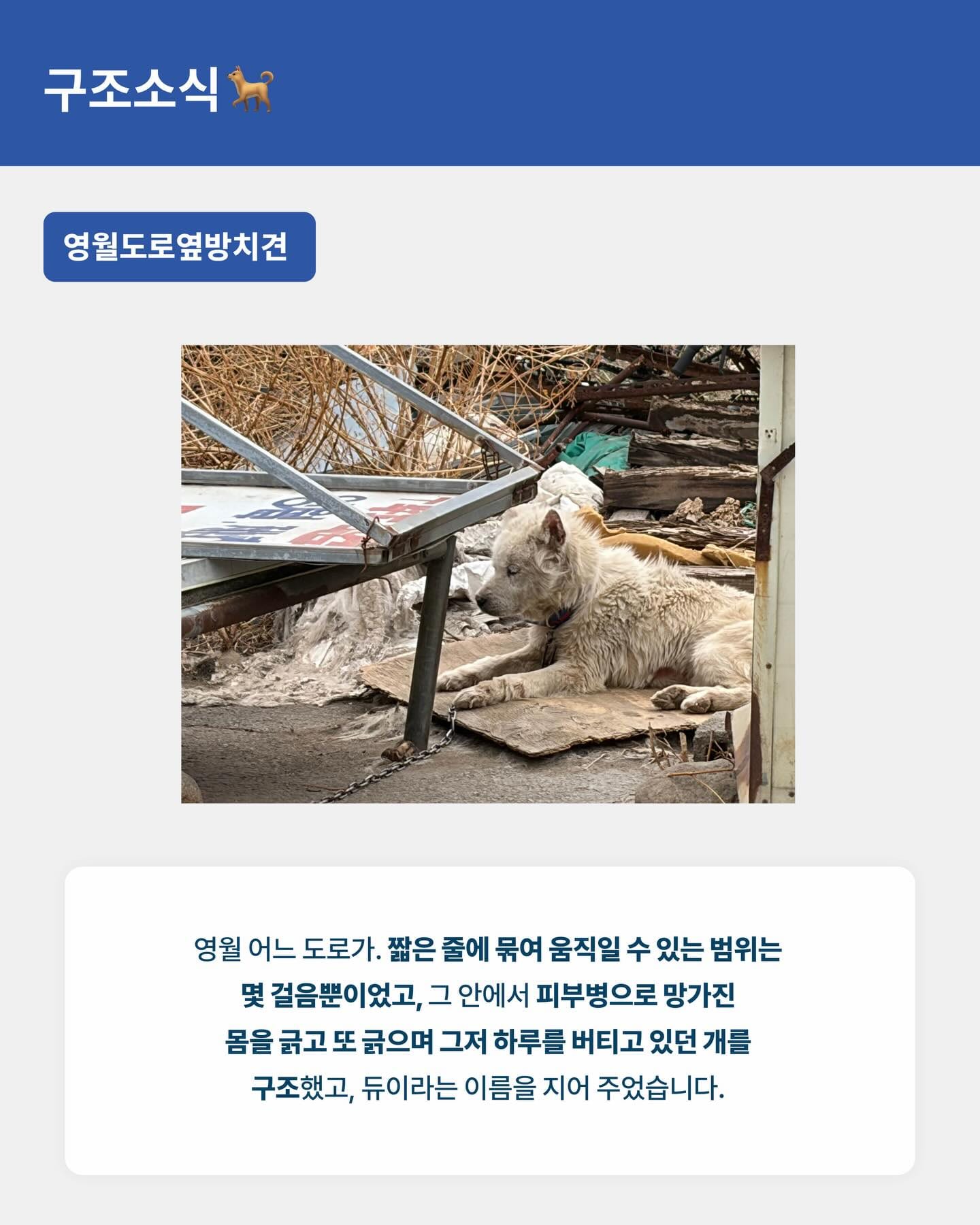 상세 사진 8