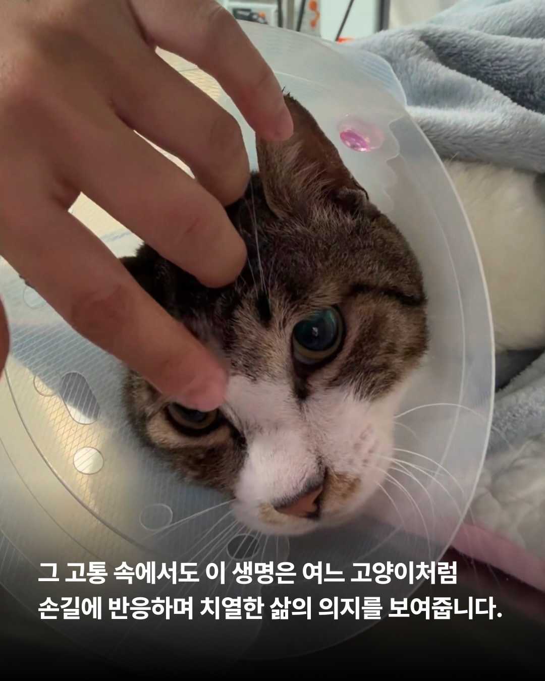 상세 사진 4