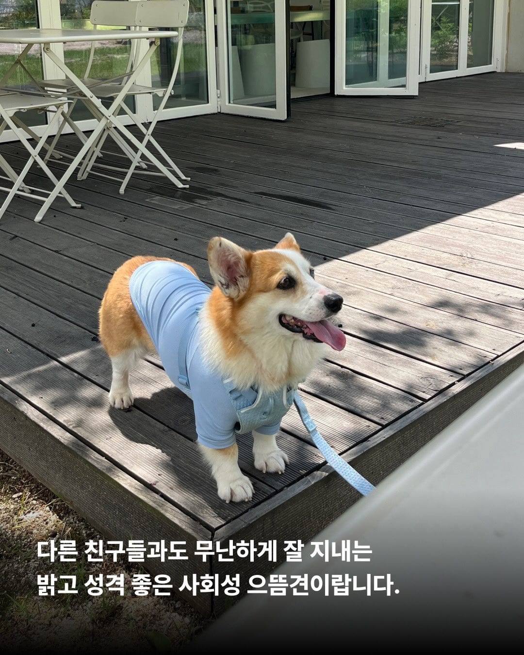 상세 사진 5
