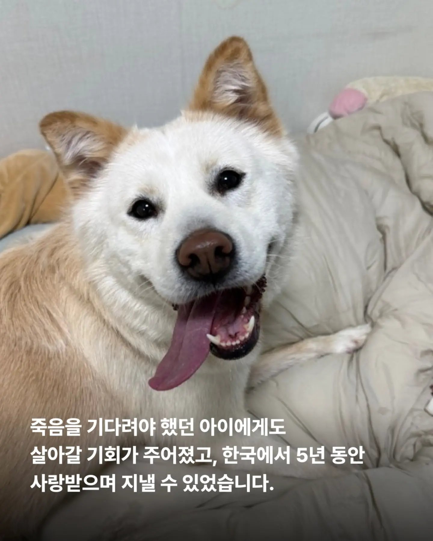 상세 사진 4
