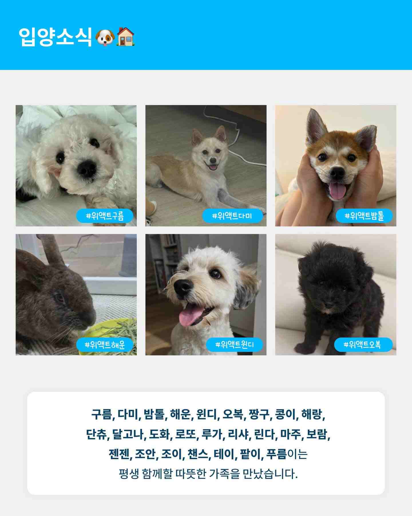 상세 사진 2