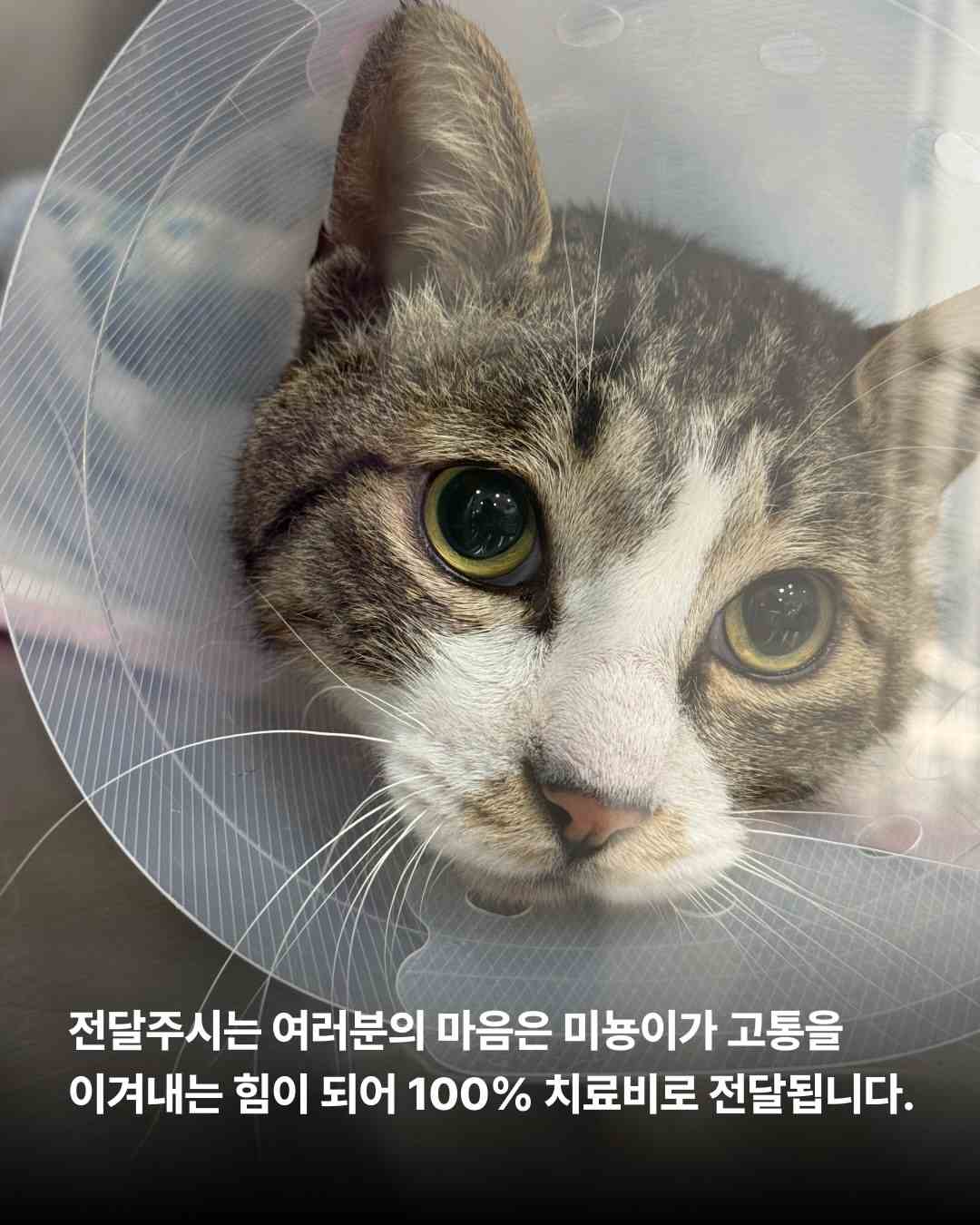 상세 사진 6