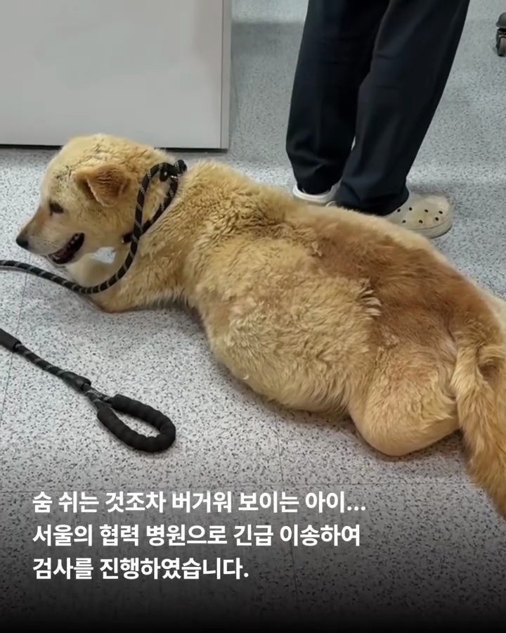 상세 사진 2
